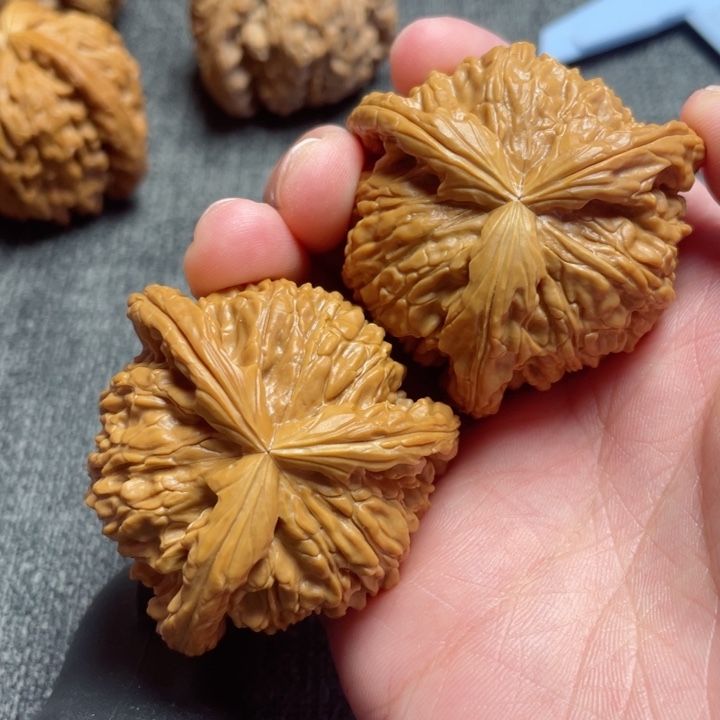 工艺三棱白狮子三棱