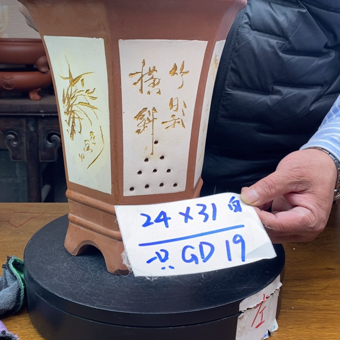 红陶货号一只GD19