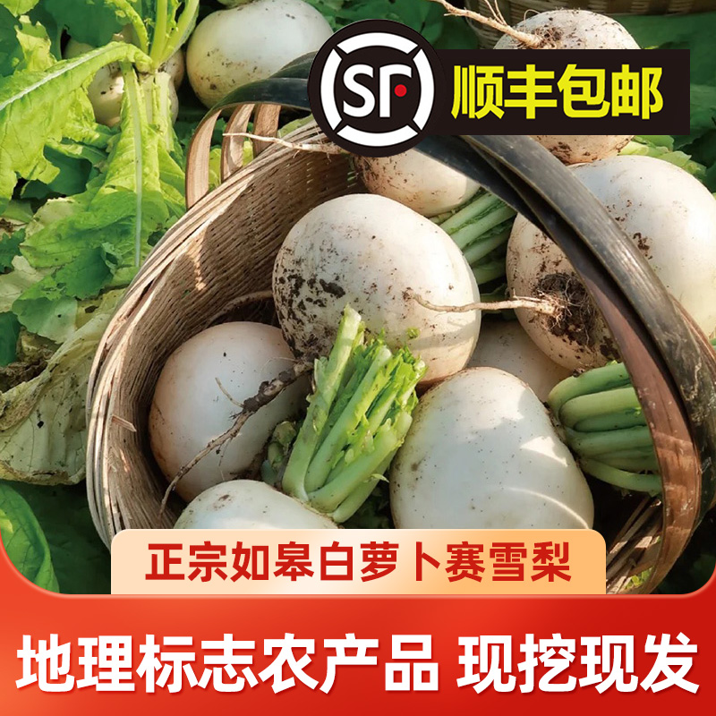 [善食源]如皋本地白萝卜 4.5-5斤 露天种植 清脆 煲汤 现采现发