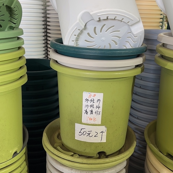 微瑕8#口径39无托果绿5个