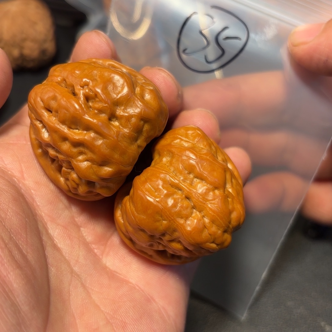 核桃其他蛤蟆头的