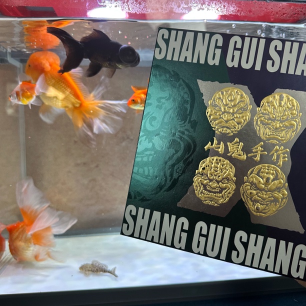 观如轩—经典  设计精品 橄榄核核雕