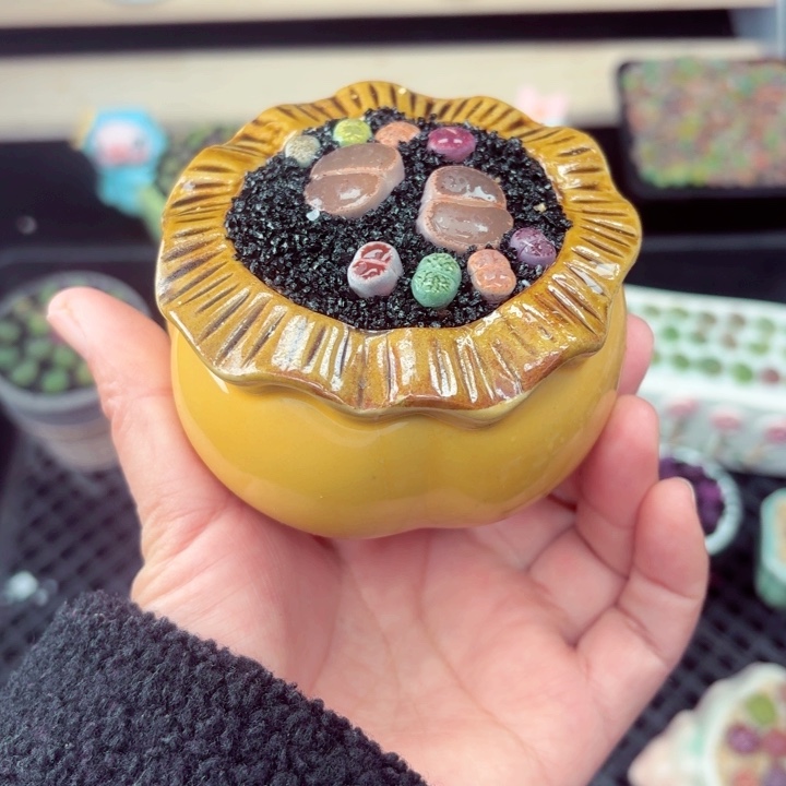 816零下地区记得拍保温箱满18包邮