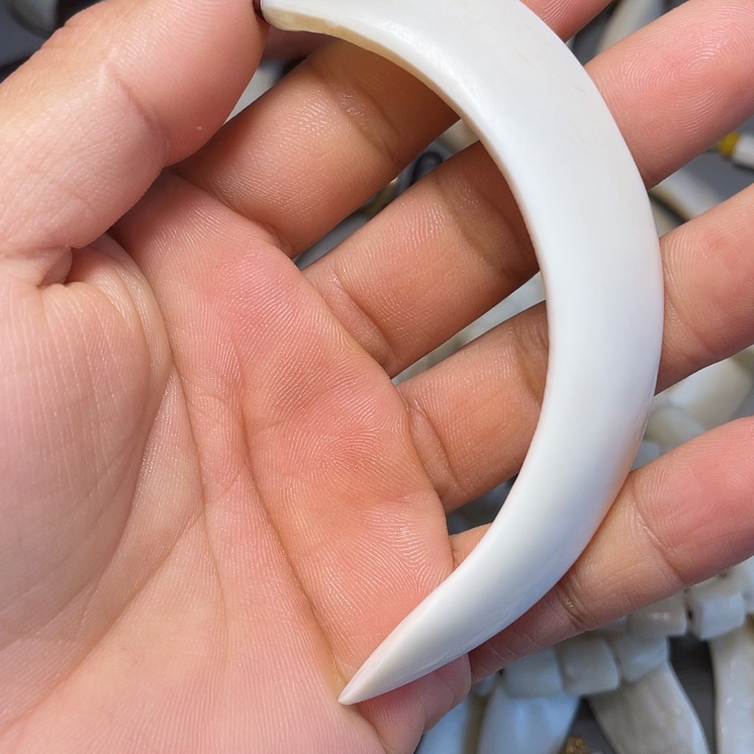 猪牙手串/手链猪牙