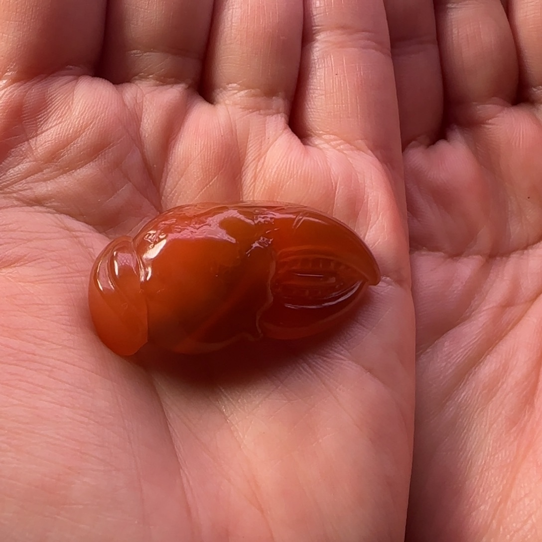 南红玛瑙挂件未镶嵌蟹甲