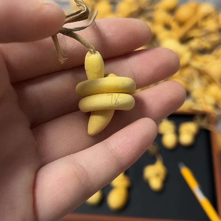 千一把伤瑕双层葫芦