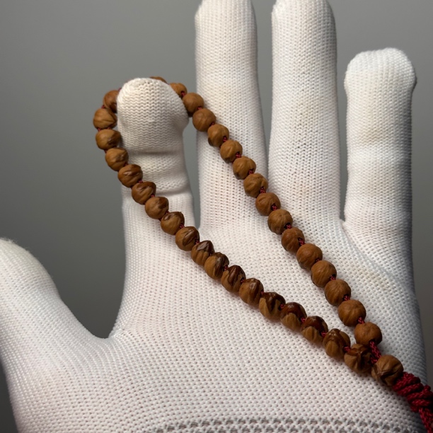 大奔热振红透皮红牙口柏香籽小鸟横打精致文玩手持