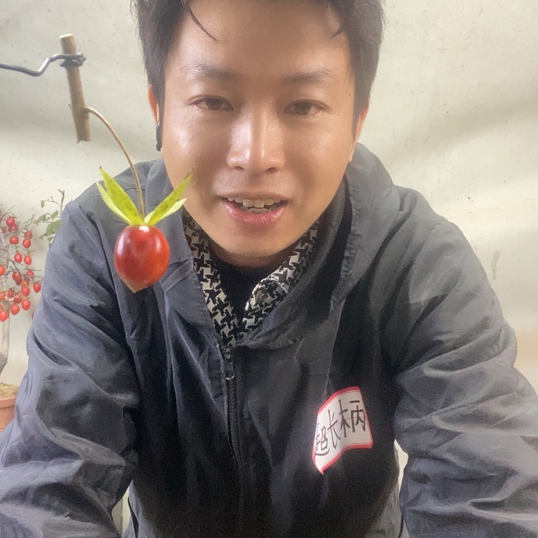 沪***黄无花朵老鸦柿超长柄