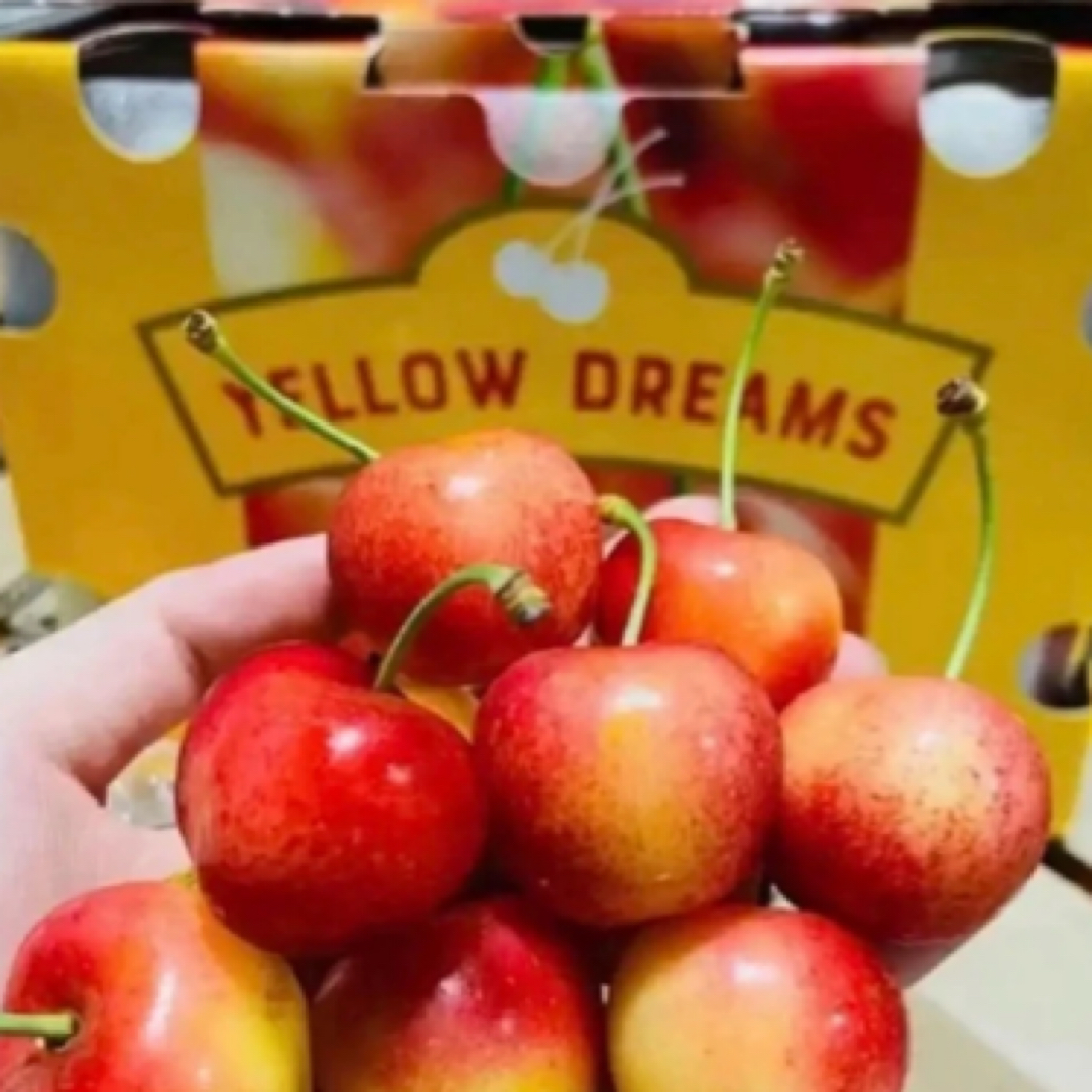 【金车J-4J】智利RAINIER海运雷尼尔车厘子包邮G 内附果径卡