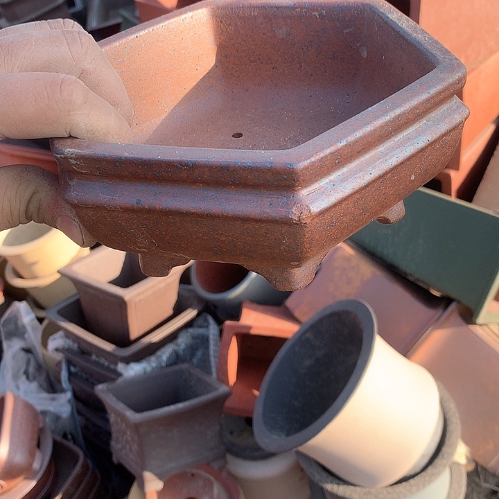 紫砂我要不就是你