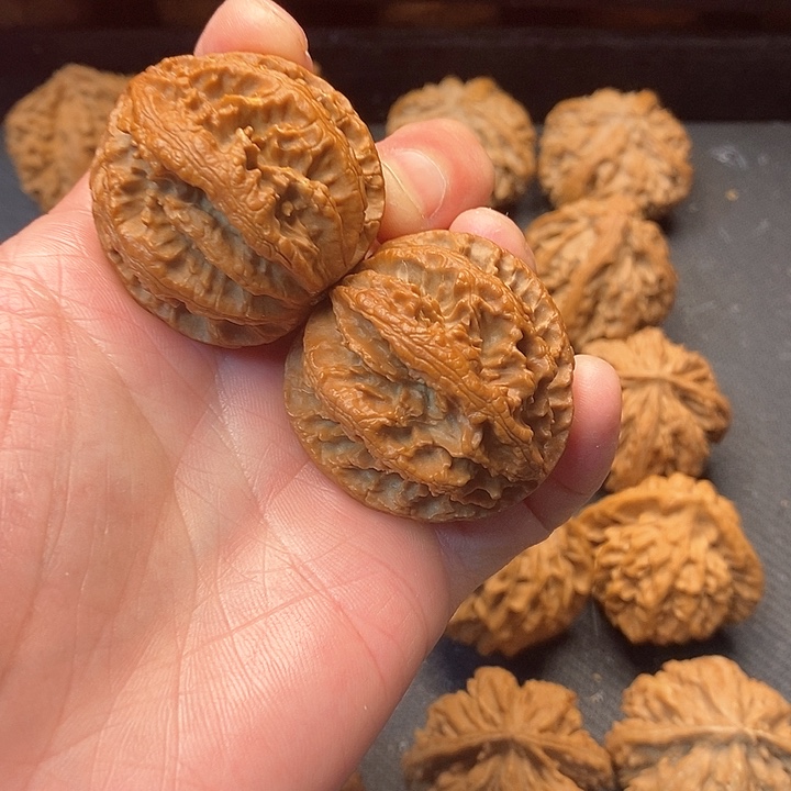 我是一只小小鸟地域鬼