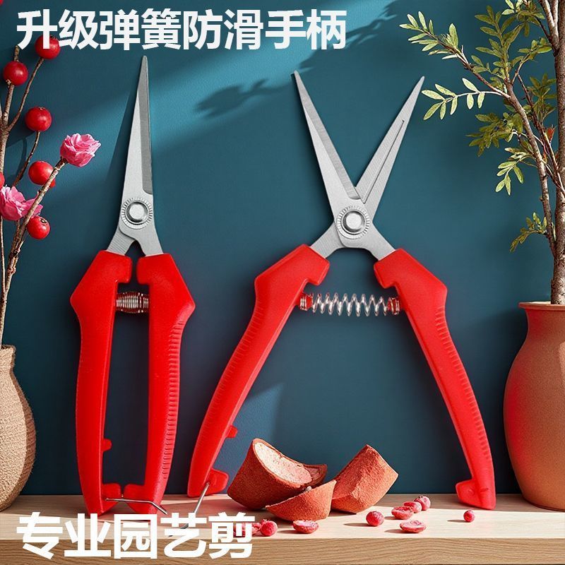 稀果剪修枝剪采摘剪刀疏果剪园艺剪细枝手锯子葡萄树修花剪花艺剪