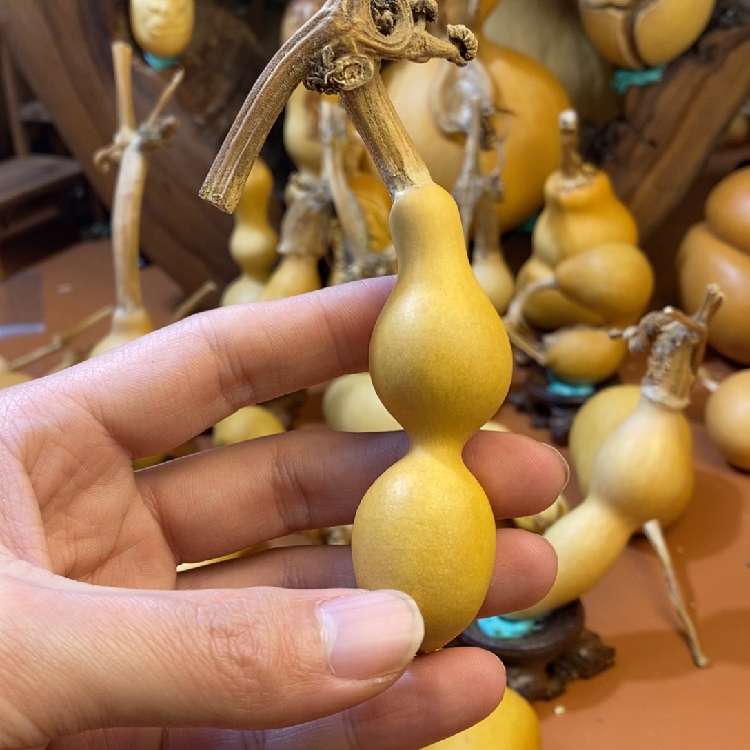 *****教练教练来咯哦哦咯