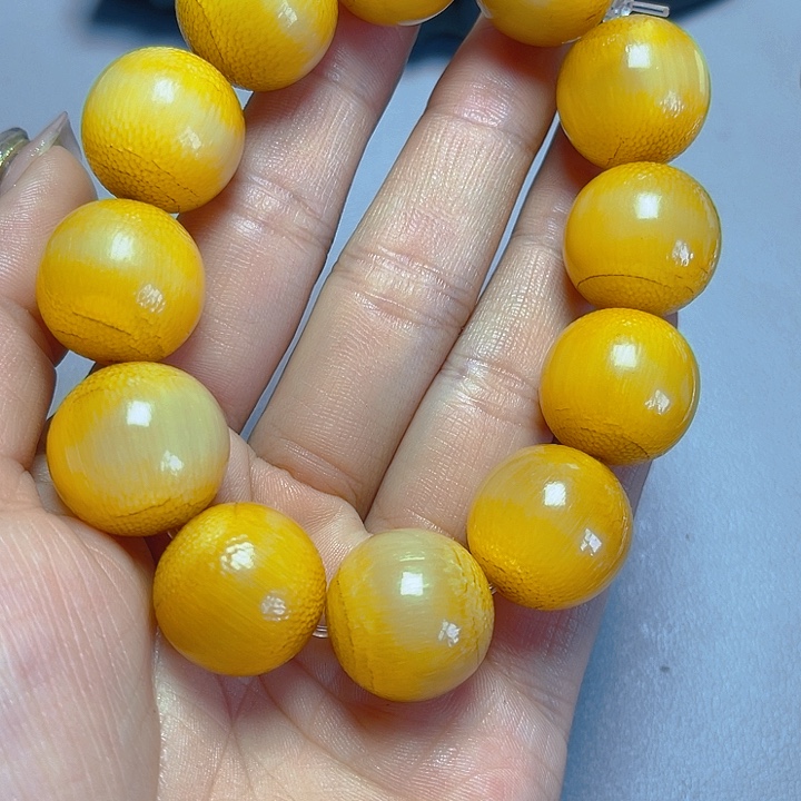 大果紫檀（缅甸花梨）