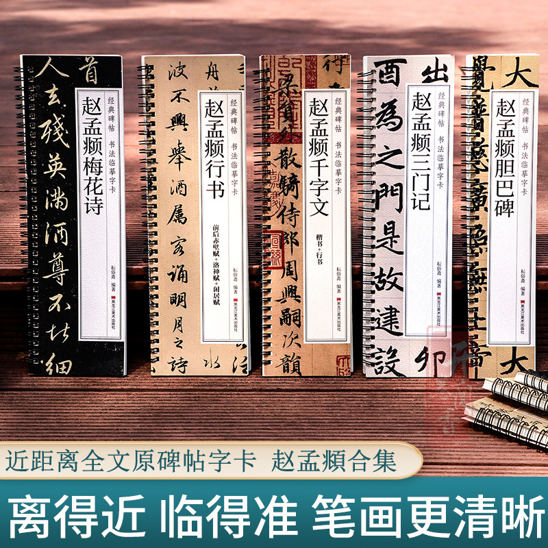 赵孟頫原大全文临摹字卡行书楷书千字文洛神赋赤壁赋道德经胆巴碑