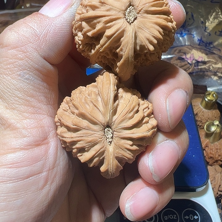 z***o核桃全品无修山地磨盘