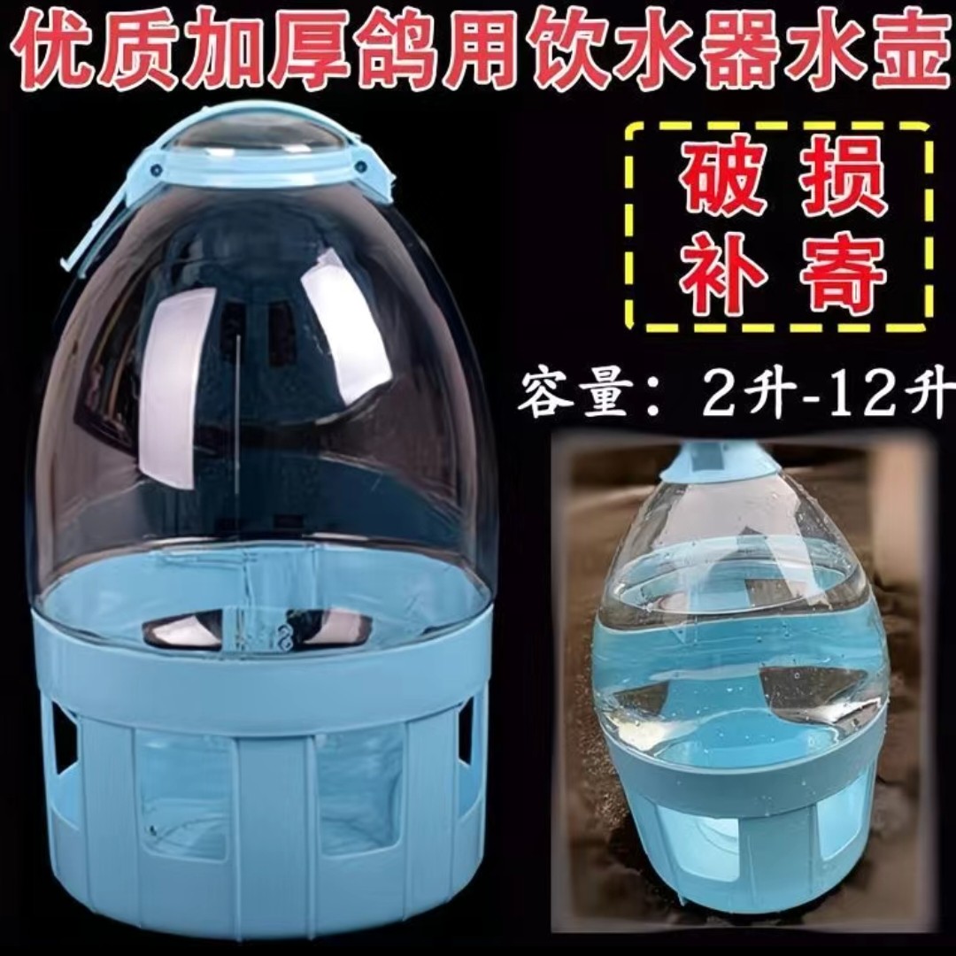 信鸽赛鸽饮水器鸽具