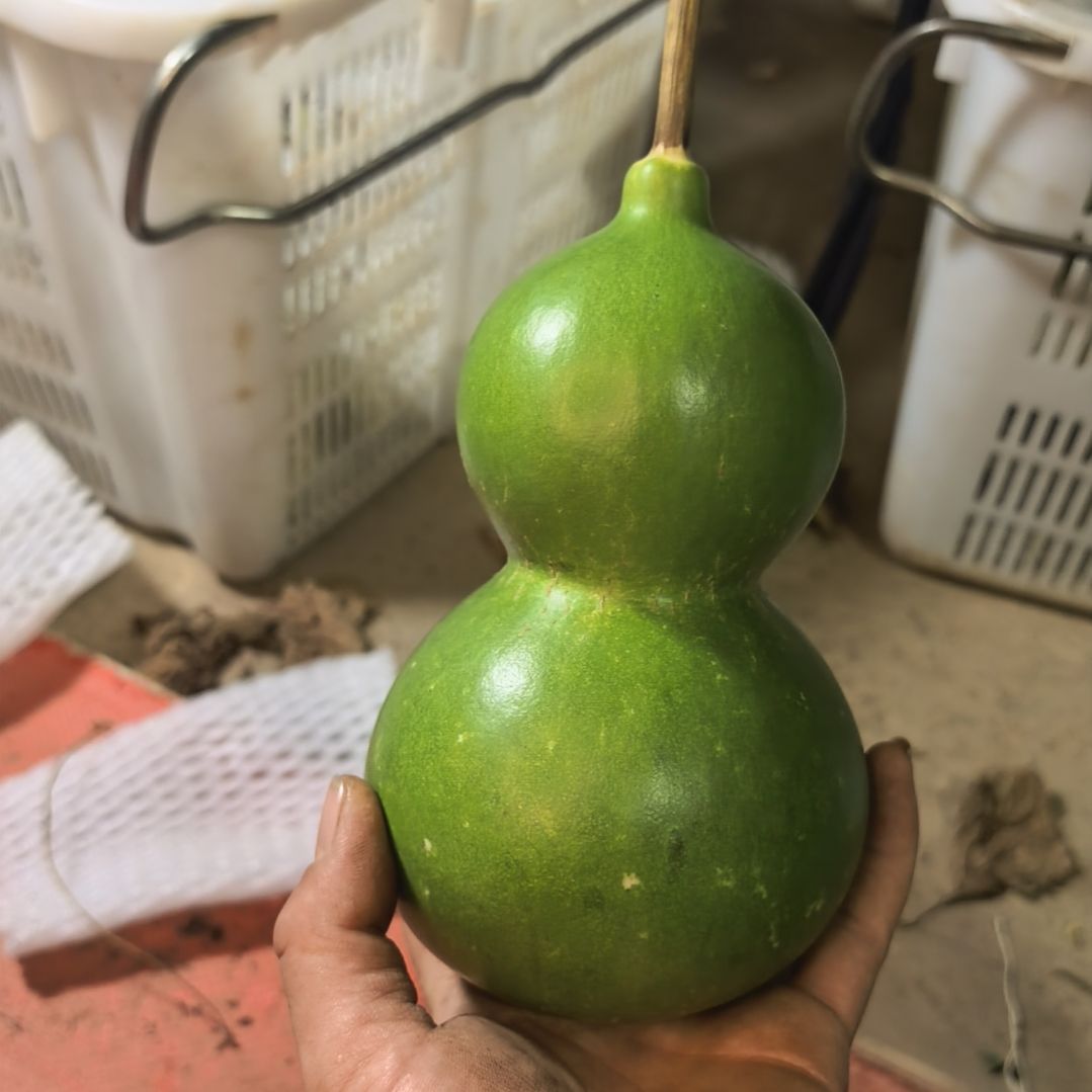 A***输木葫芦摆件家庭摆件