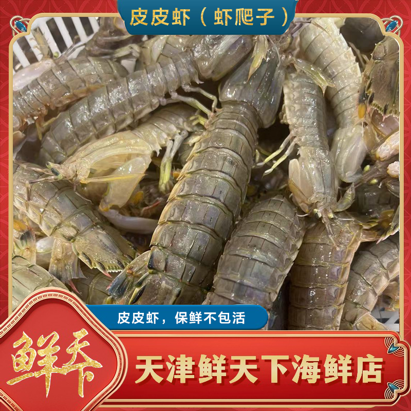 【保鲜不保活】皮皮虾 一斤18条左右 2斤起拍 顺丰明天到
