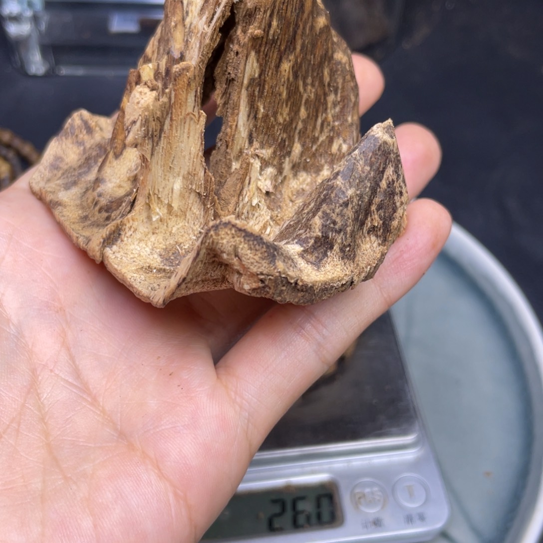 沉香摆件21克小摆件