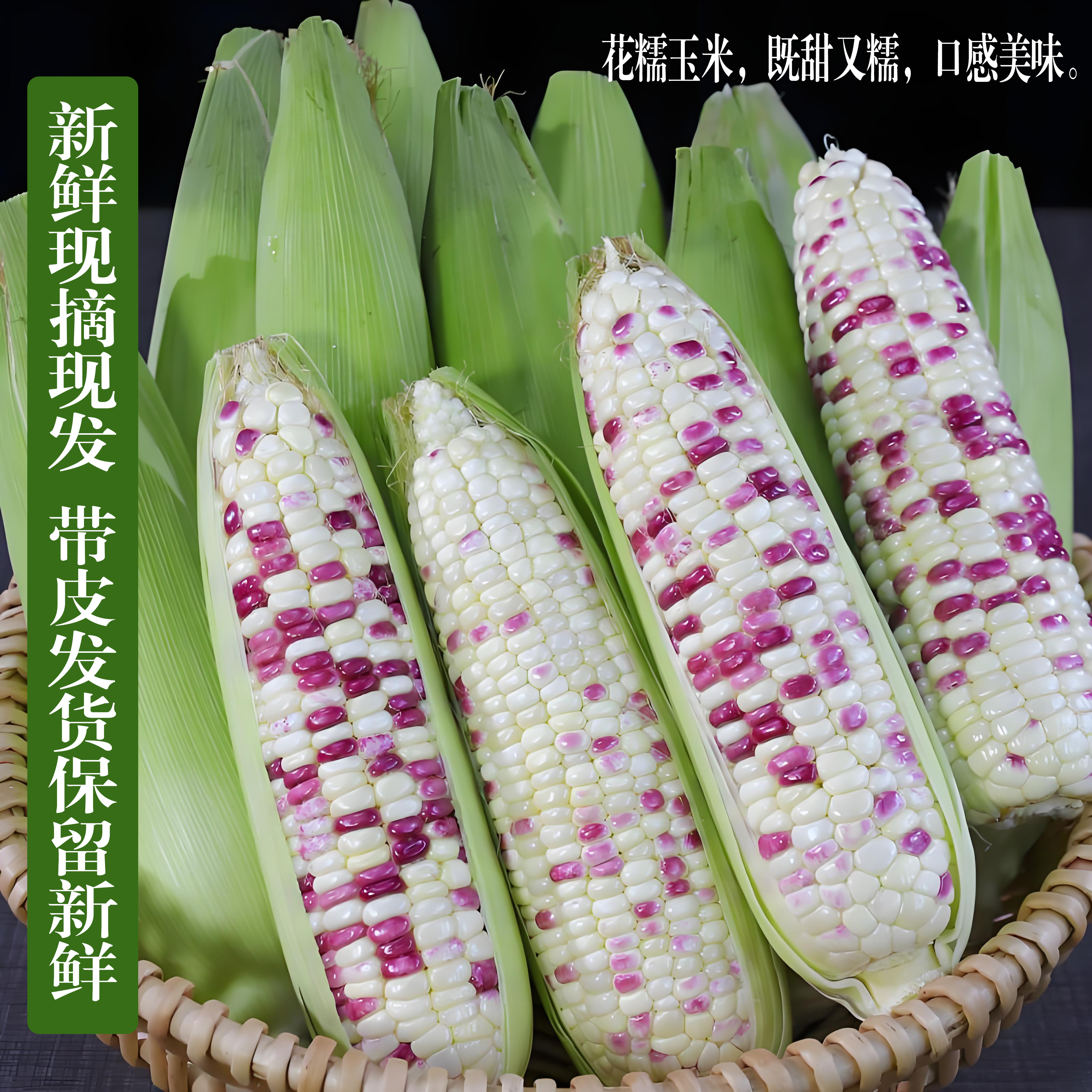 【宝马2018】新鲜花甜糯玉米现摘现发安徽农家自种软糯香甜带皮发货