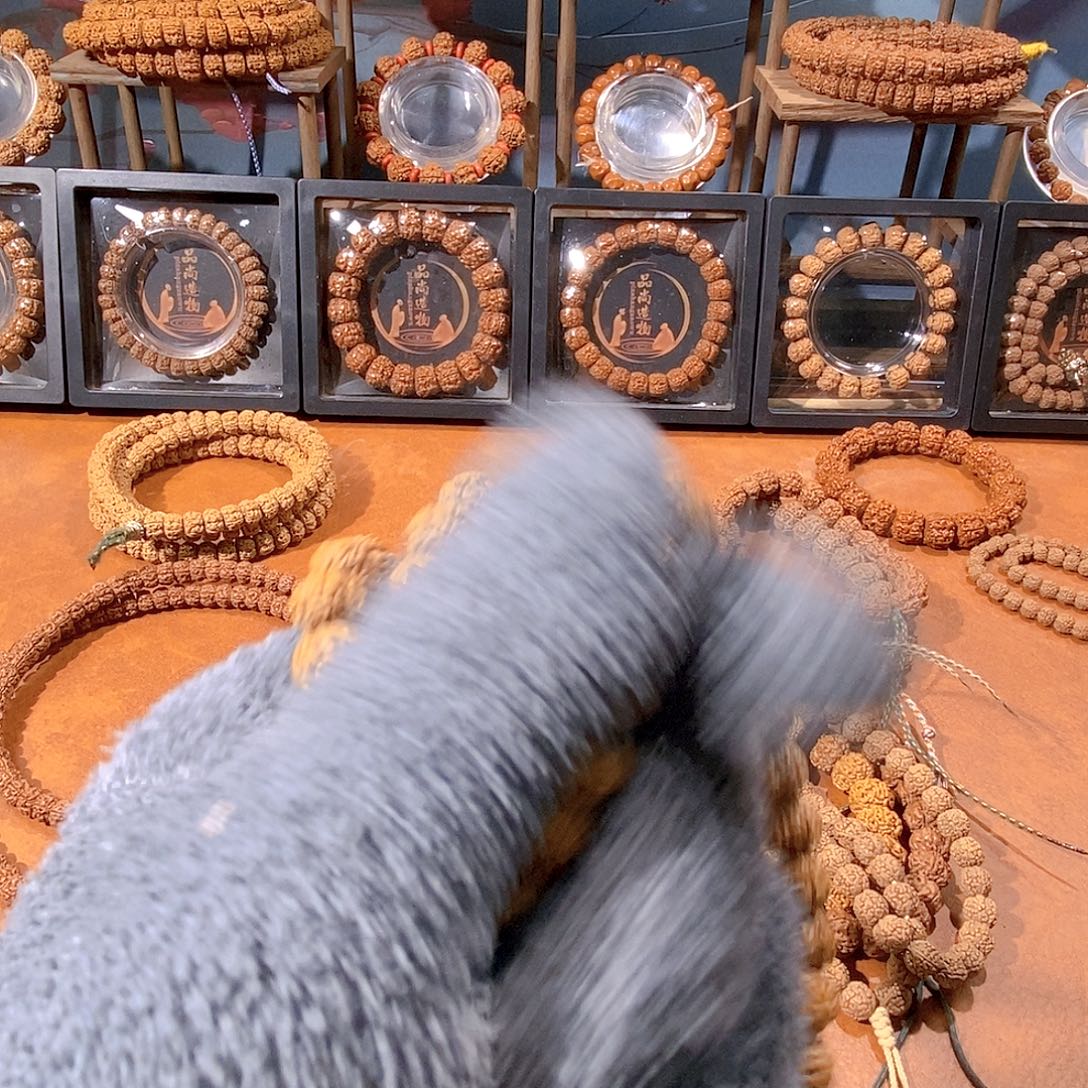 金刚菩提吊坠经典盘龙