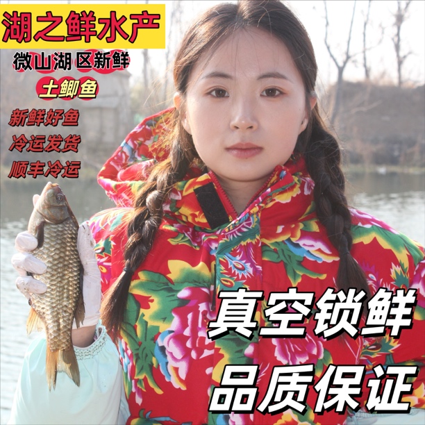 微山湖野生鲫鱼 新鲜出水 港口直发 通货