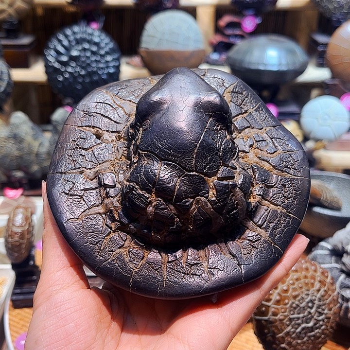 和***鸽有机玻璃龟纹石青蛙摆件