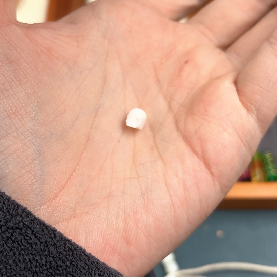 手串/手链贝壳小*包尸陀林骷髅一颗