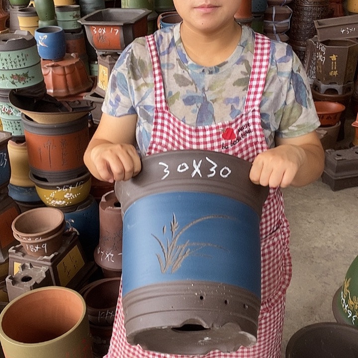 紫砂花盆盆栽花卉苗木种植