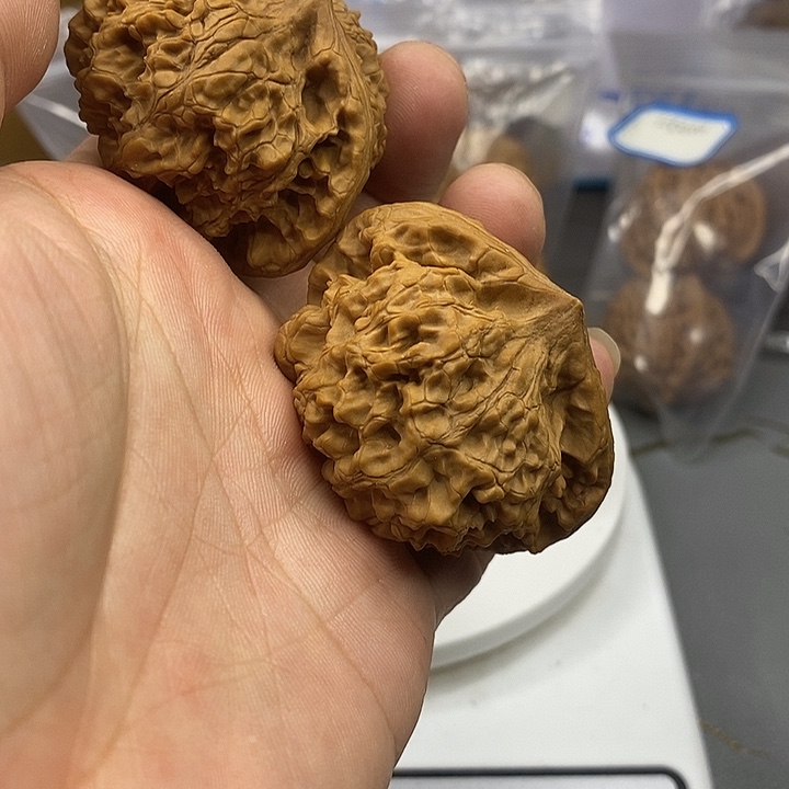 文玩核桃把件夹板官帽