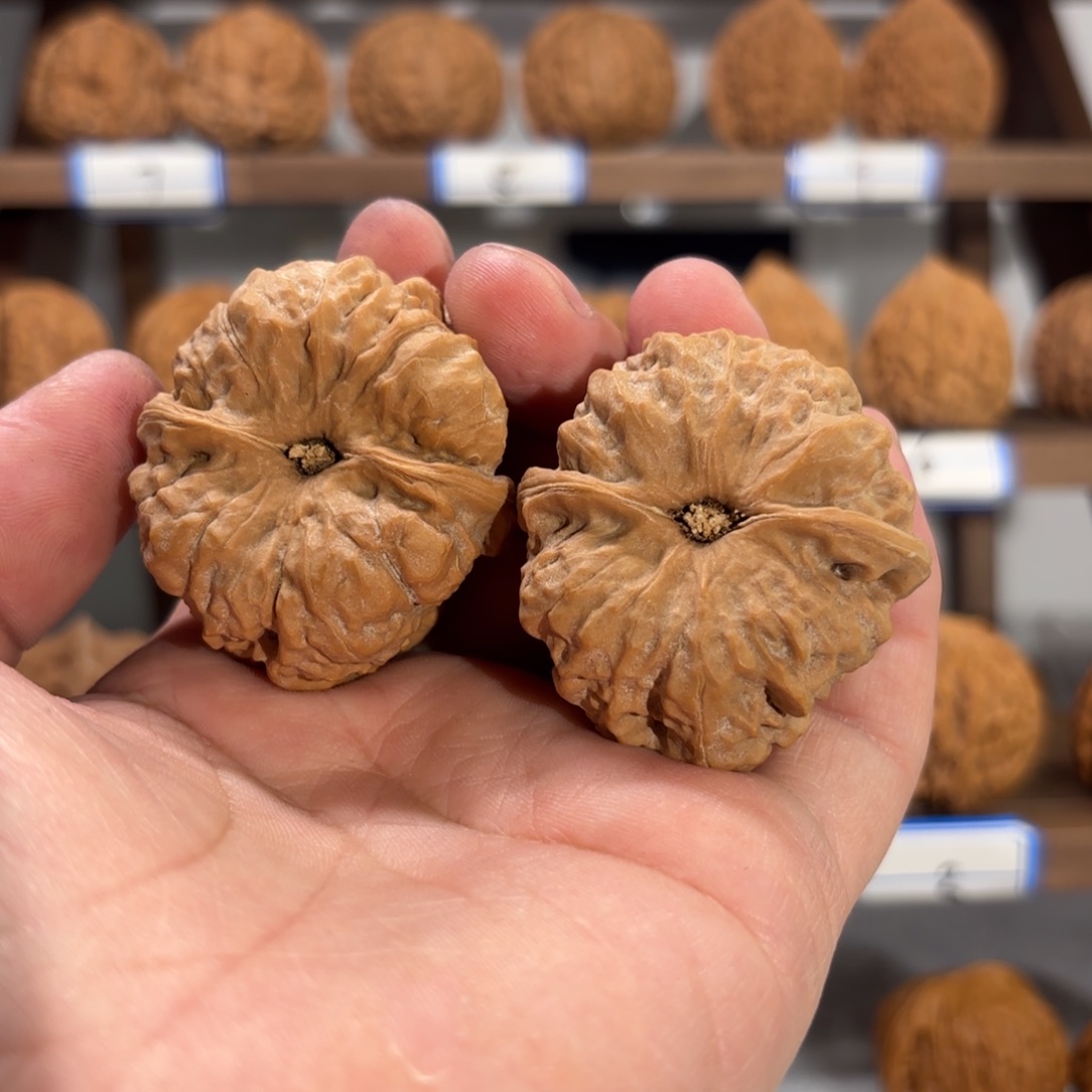 花***臂吊坠文玩核桃41蛤蟆头