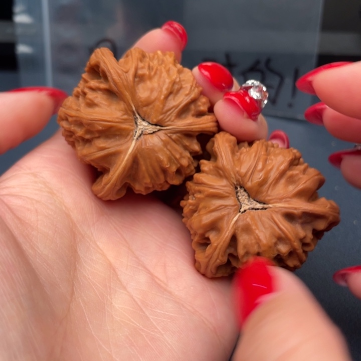 觀***濤文玩核桃吊坠白狮子