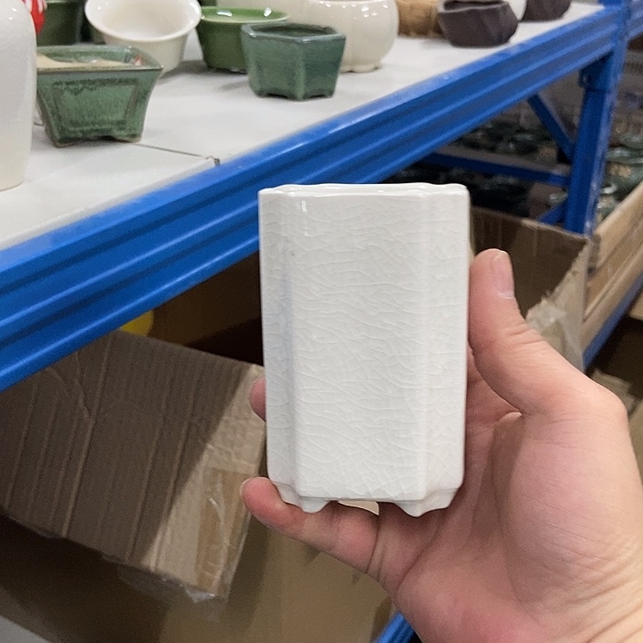 花盆单场满9.9发货6×10