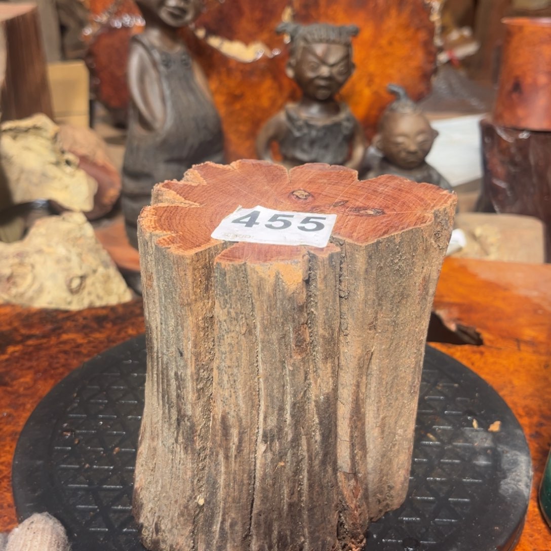 大果紫檀（缅甸花梨）