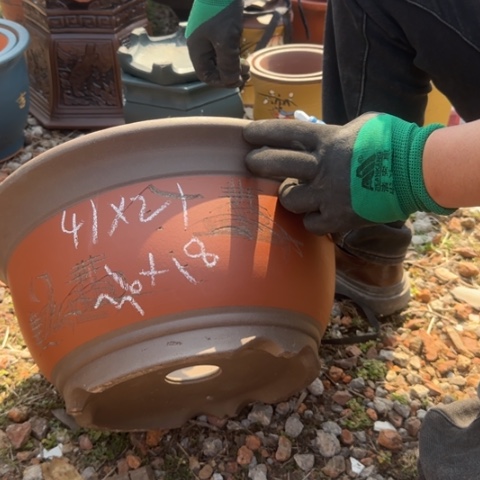 紫砂花盆紫砂花盆盆景盆栽