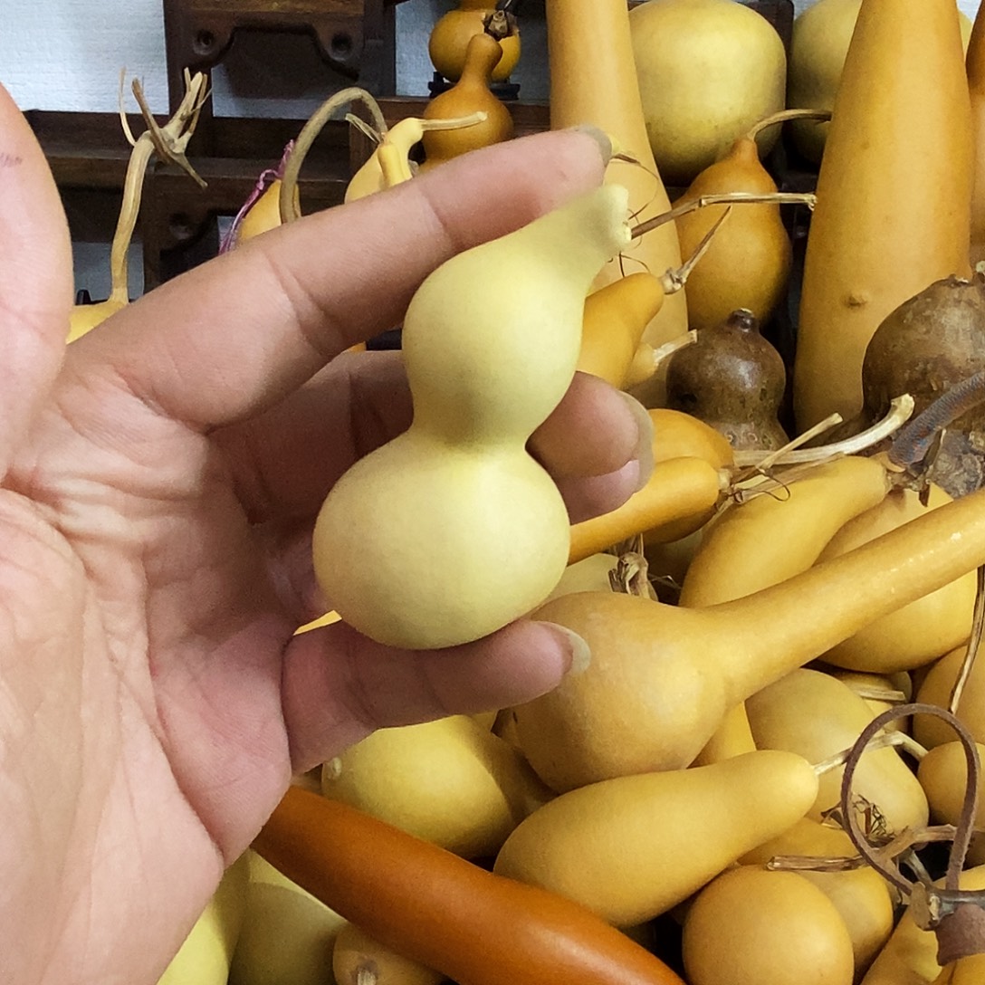 w***y直播间链接，文玩葫芦