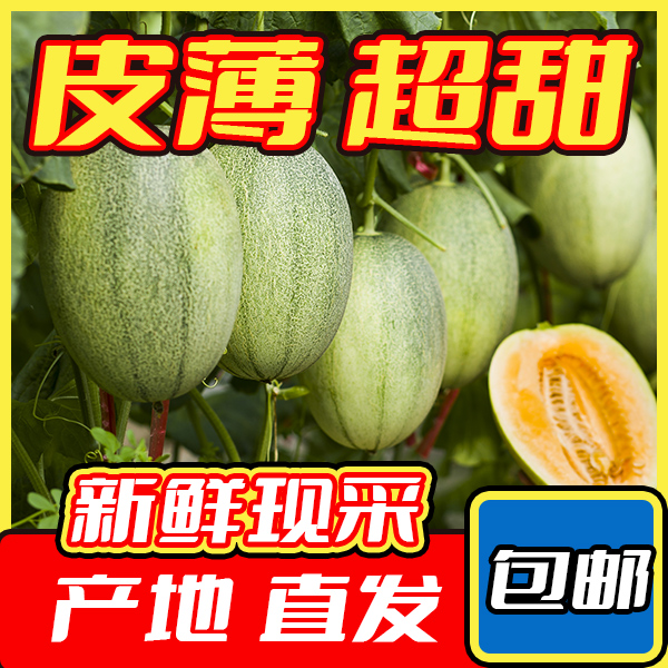 【海南直发】正宗海南哈密瓜爆汁爆甜