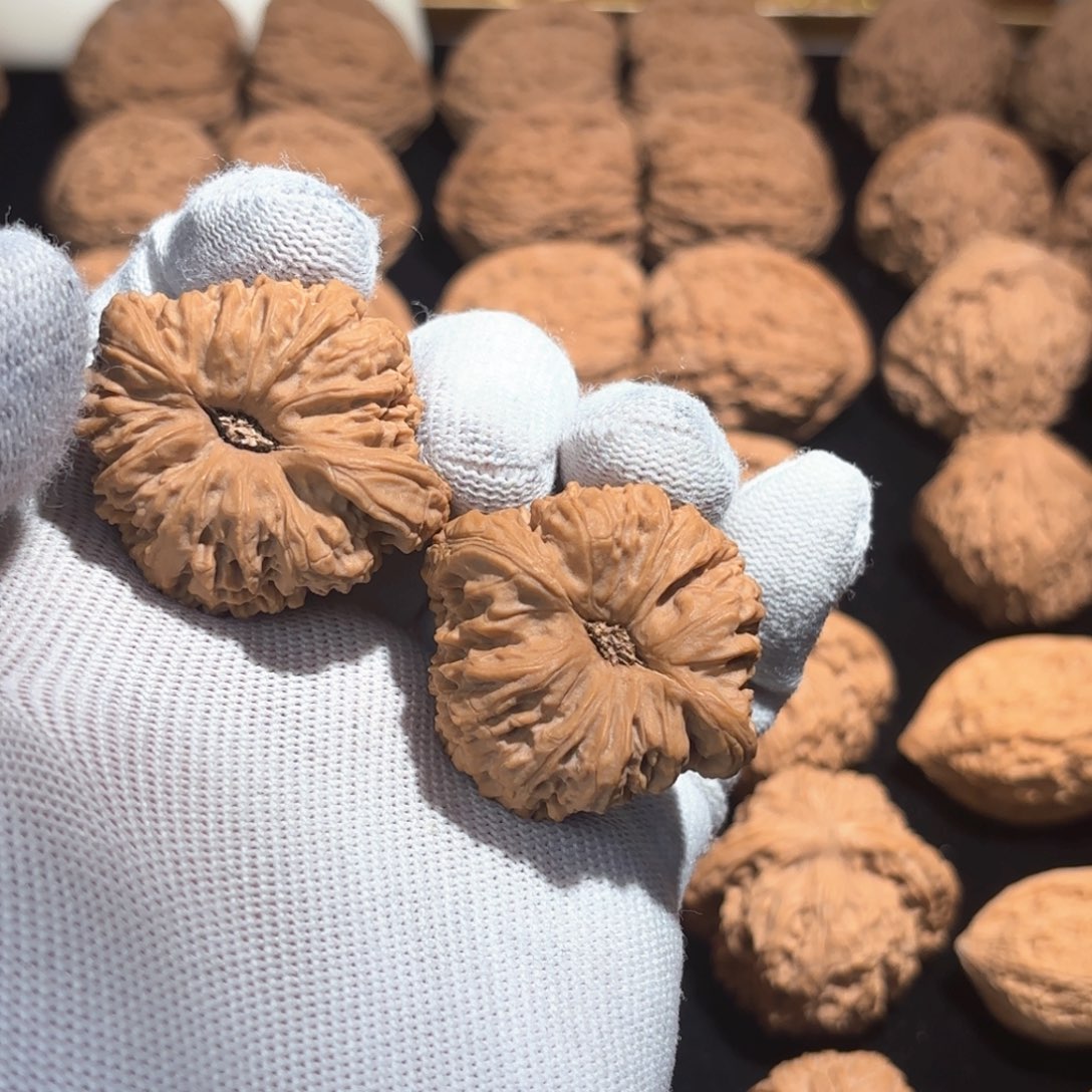 文玩核桃把件受**禄