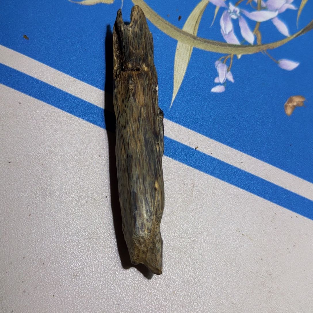 沉香手把件小****香沉香奇楠母树白棋老料23克