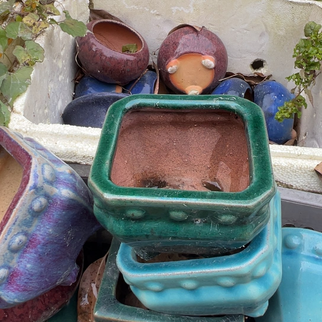 ％***福利优惠一物一拍