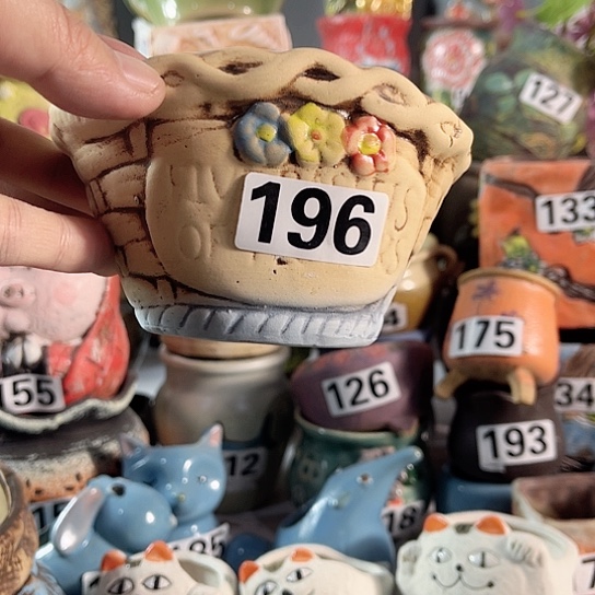 红陶多肉植物花盆