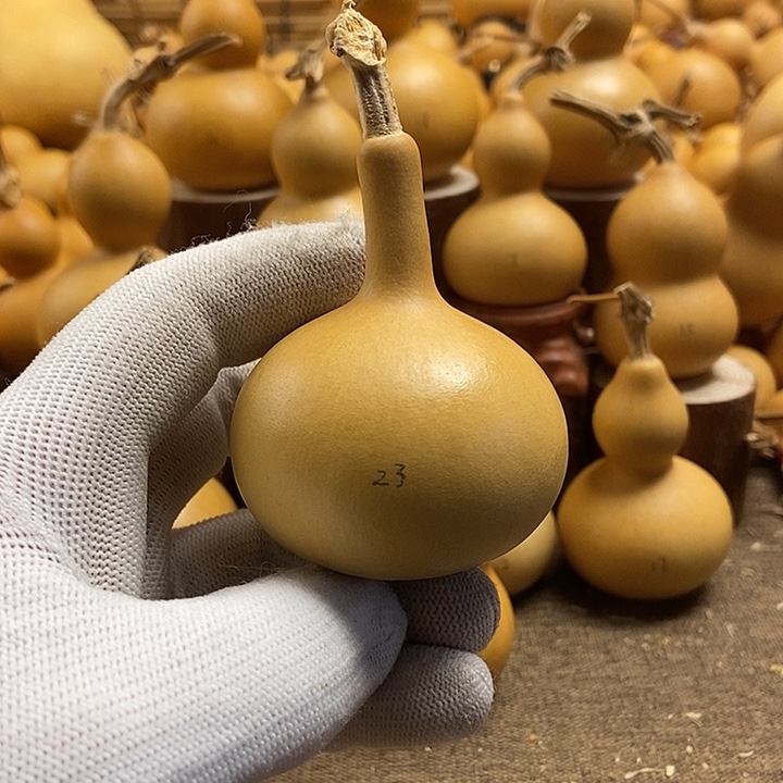 文玩葫芦 完美主义者 慎拍23