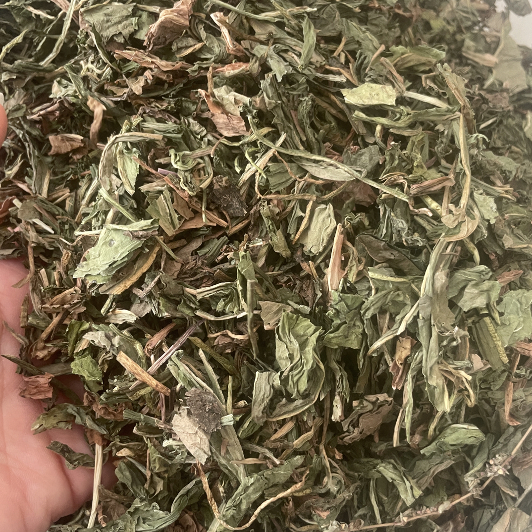 蒲公英叶蒲公茶 婆婆丁 可泡茶煮水