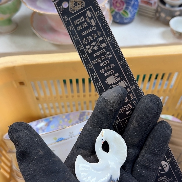 壶开播啦….开播啦