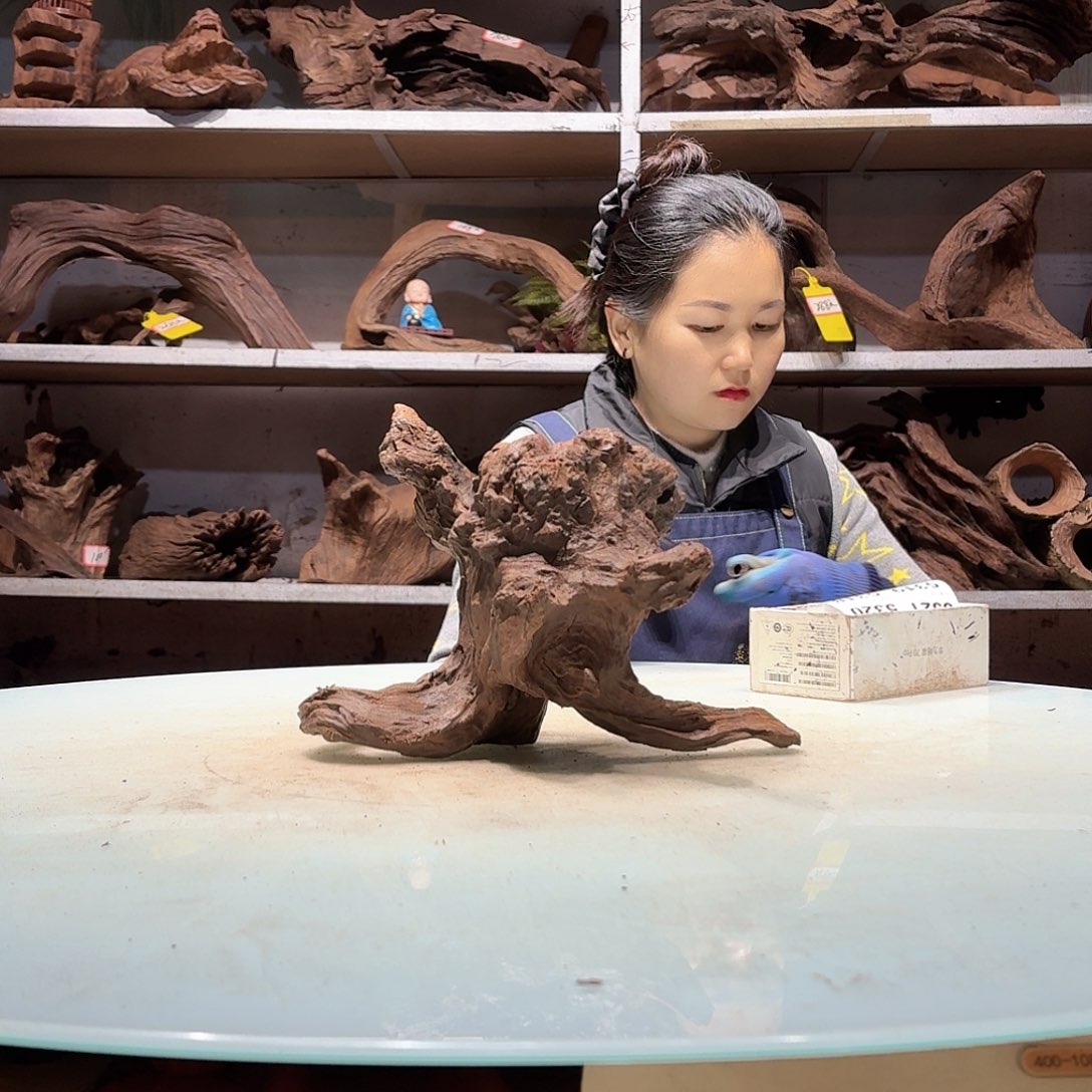 倍褚沉木不包损必褪色5312