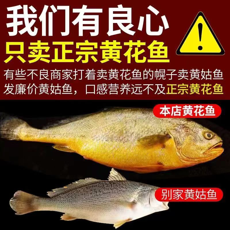 小时达新鲜海捕正宗大黄鱼 过年必备未清理整条鱼 4条 一条400-450g