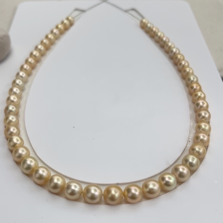 海水珍珠金珠项链7-9mm浅金未镶嵌
