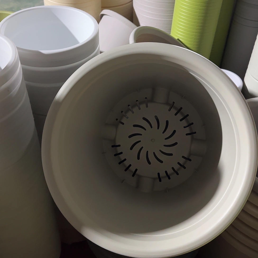 树脂四季8号无托5个灰白