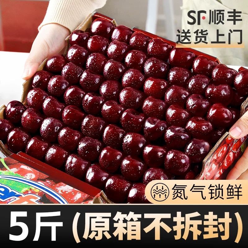 【5斤原箱】智利车厘子5斤/3J礼盒顺丰邮政京东次日达